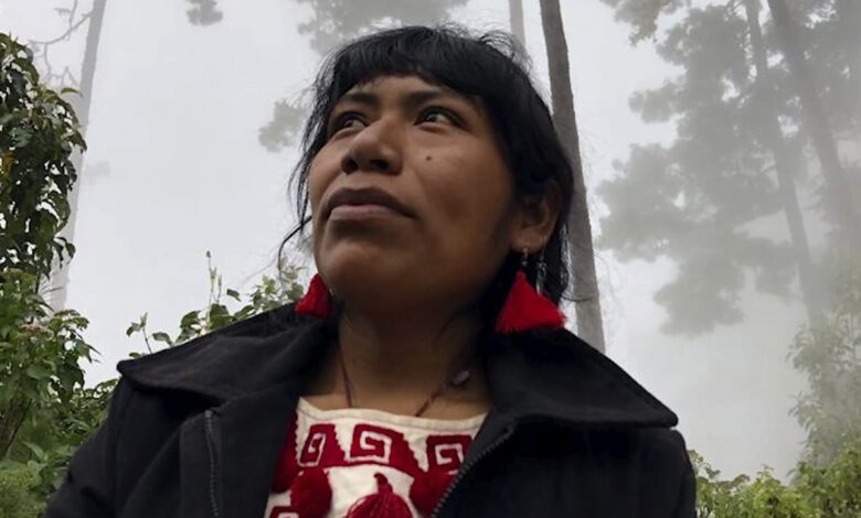 Descartan que restos hallados en la Mixteca sean de la activista Irma Galindo