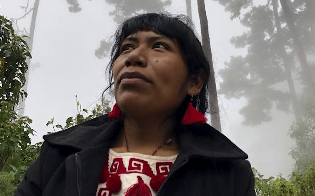 Descartan que restos hallados en la Mixteca sean de la activista Irma Galindo