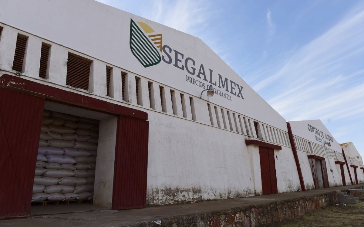 Destituyen y denuncian a directivos de Segalmex por irregularidades