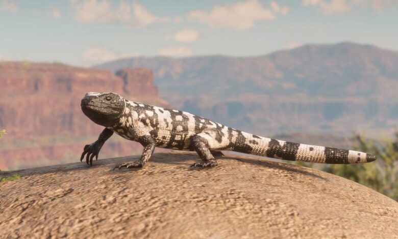Dónde encontrar el monstruo de Gila con bandas en Red Dead Online