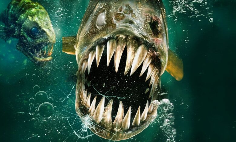 Dónde ver el acuario de los muertos en línea (Netflix, Hulu, Prime)