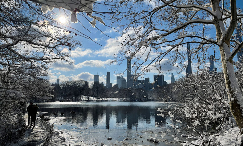 EU se cubre de nieve: Feroz tormenta invernal azota noreste del país | Fotos