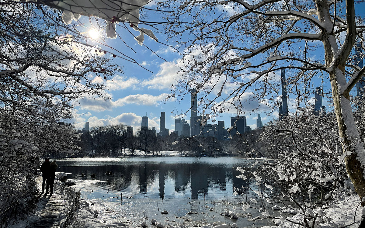 EU se cubre de nieve: Feroz tormenta invernal azota noreste del país | Fotos