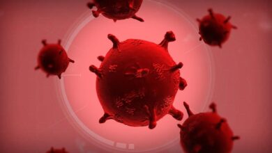 El gobierno del Reino Unido incluye códigos QR de Plague Inc. en confusos correos electrónicos de COVID