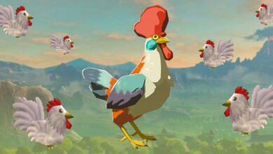 El jugador de BOTW ordena al ejército de Cucco que elimine a un miembro del clan Yiga