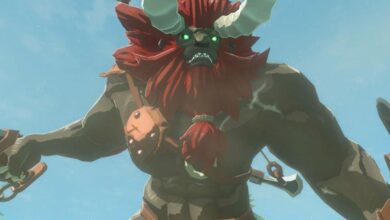 El jugador de Breath of the Wild derrota a Lynel desnudo y con solo un palo
