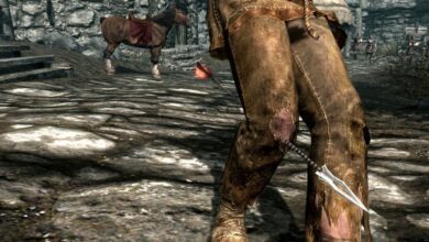 El jugador de Skyrim recibe una flecha en la rodilla al igual que el guardia Whiterun