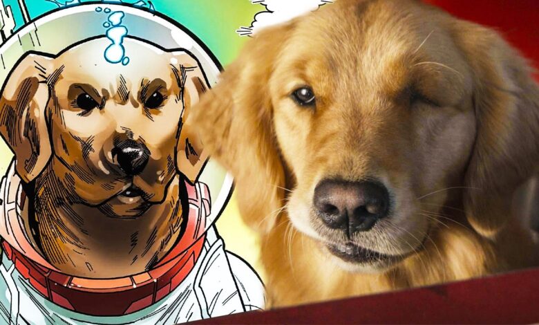 El perro pizza de Hawkeye tiene una identidad secreta: explicación de la teoría