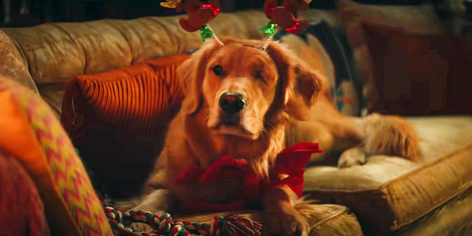 El video de Hawkeye combina todas las mejores escenas de Lucky The Pizza Dog