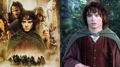 El vigésimo aniversario de The Fellowship Of The Ring: 10 cosas sobre Frodo por las que los fanáticos todavía están enojados