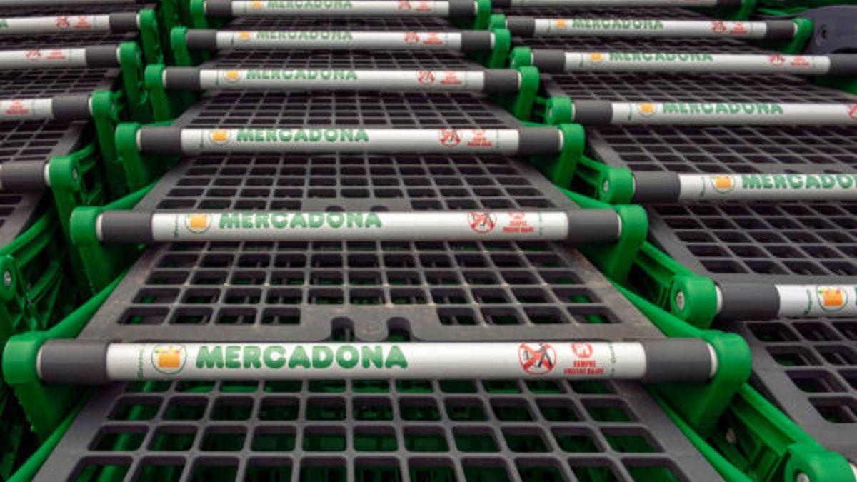 El yogur que se ha convertido en un éxito y solo cuesta 1,30 euros