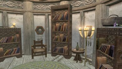 Elder Scrolls Lore Books desaparecidos de Skyrim