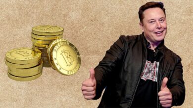 Elon Musk cree que descifró el misterio del creador de Bitcoin
