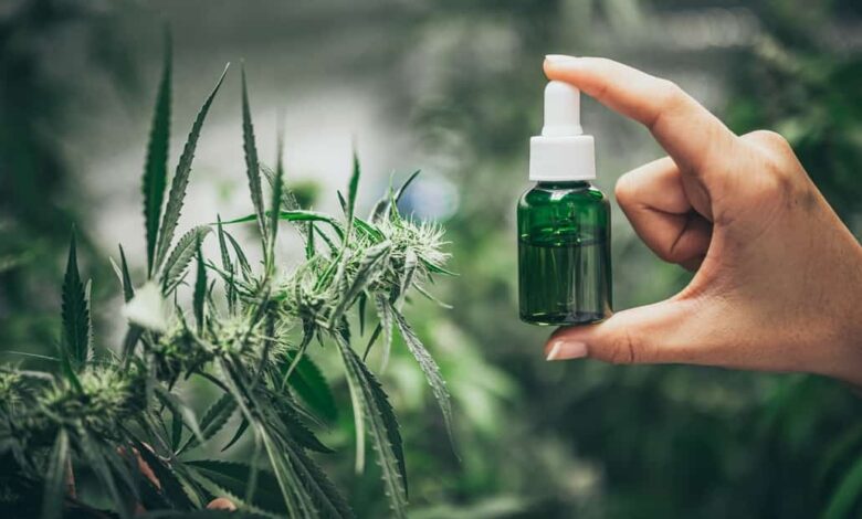 En Costa Rica aprueban el uso de la mariguana con fines medicinales