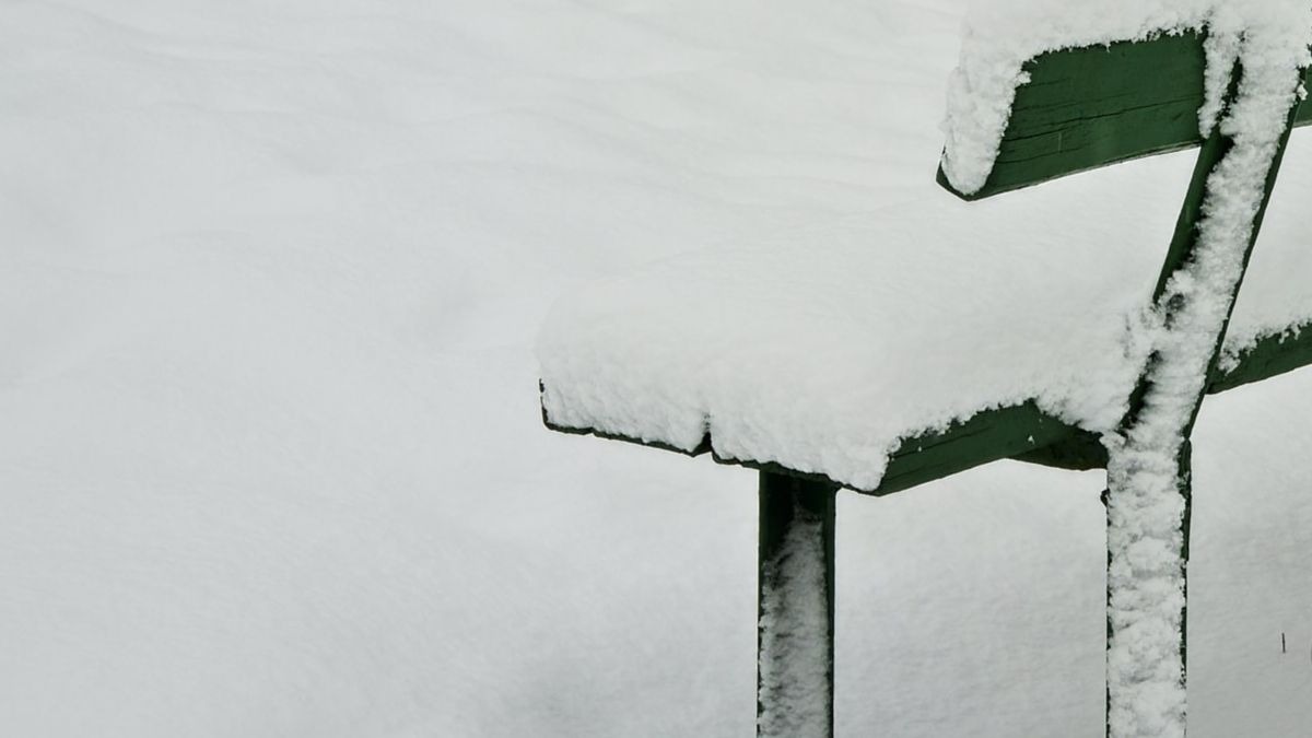 Estas son las 5 mejores palas para la nieve