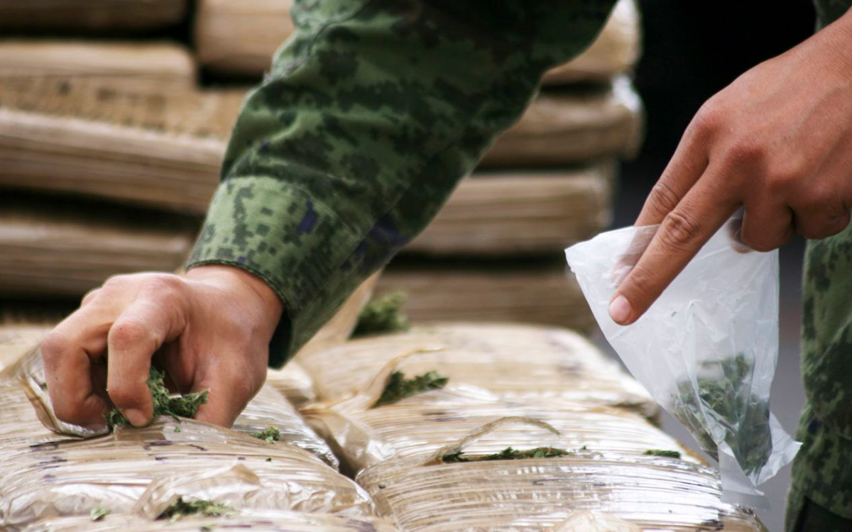 FGR aseguró 11 toneladas de mariguana y un millón de pastillas de fentanilo