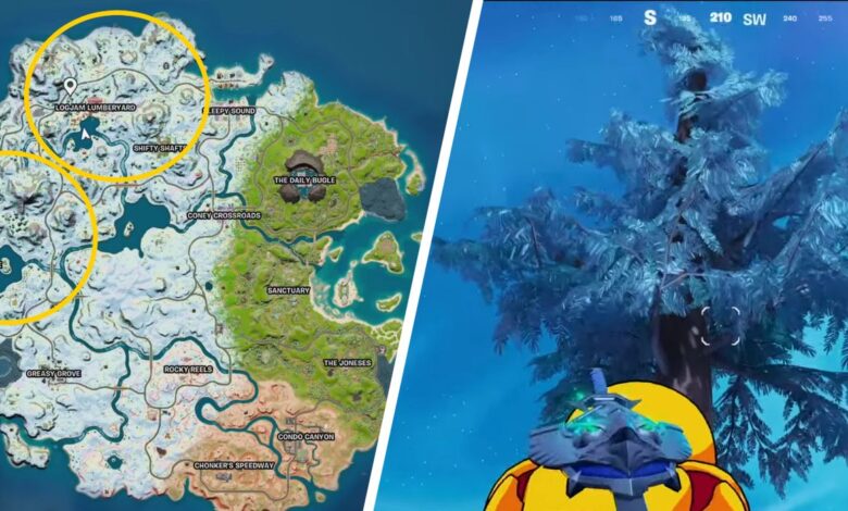 Fortnite: Cómo encontrar (y derribar) Timber Pines