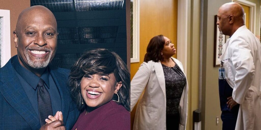 Grey's Anatomy: Las 10 peores cosas que Bailey y Richard se hicieron el uno al otro