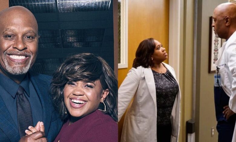 Grey's Anatomy: Las 10 peores cosas que Bailey y Richard se hicieron el uno al otro
