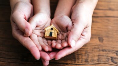 Honey Insurance se lanza con $ 15.5M AUD, la ronda de semillas más grande jamás realizada para una startup tecnológica australiana