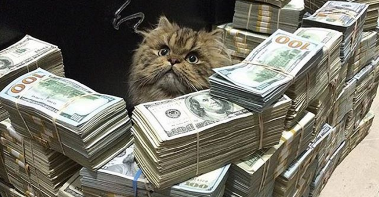 Instagram lanza silenciosamente pagos para el comercio