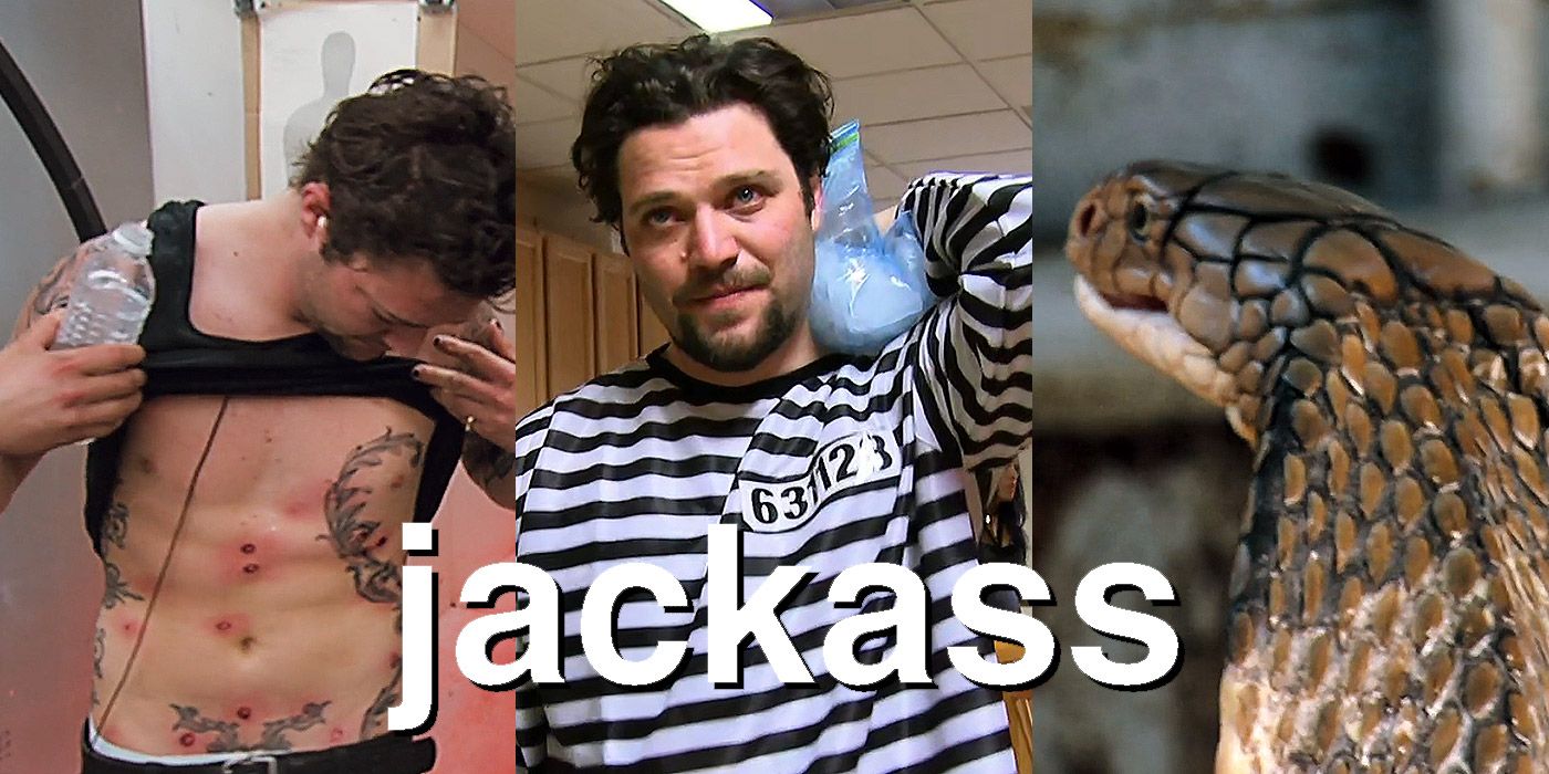 Jackass: 10 acrobacias de las que Bam Margera probablemente se arrepintió más