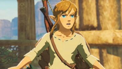 Jugadores experimentados de BOTW comparten sus mejores descubrimientos y secretos de juegos