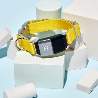 La empresa de collares para mascotas conectados Fi recauda una Serie B de $ 30 millones