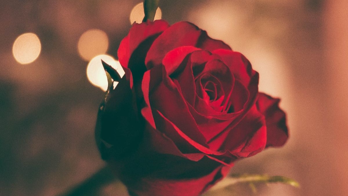 La tarta de San Valentín es perfecta para celebrar el Día de los Enamorados