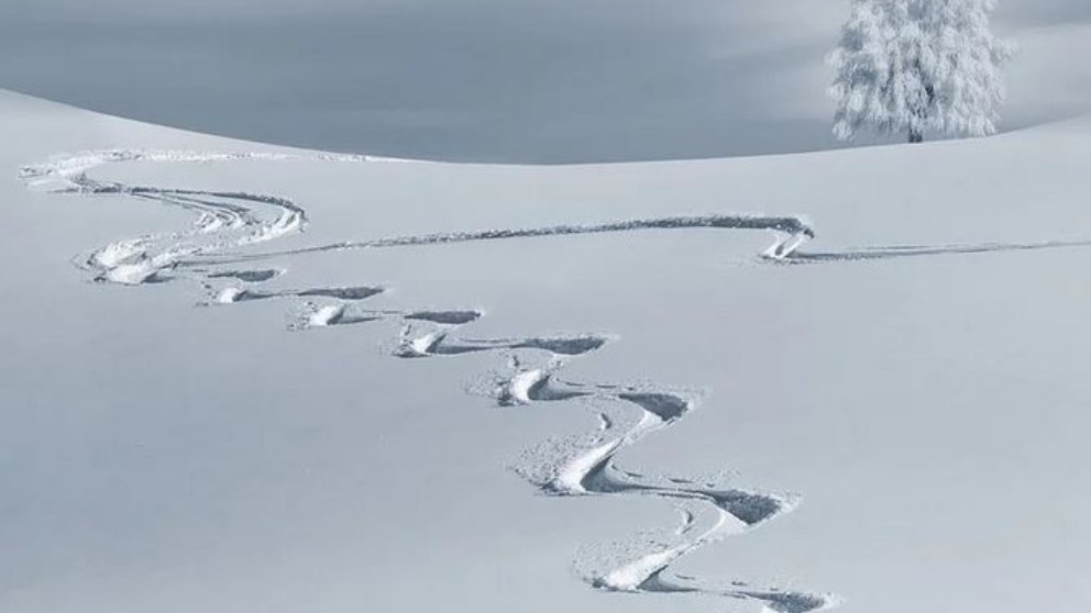 Las mejores frases del mes de enero