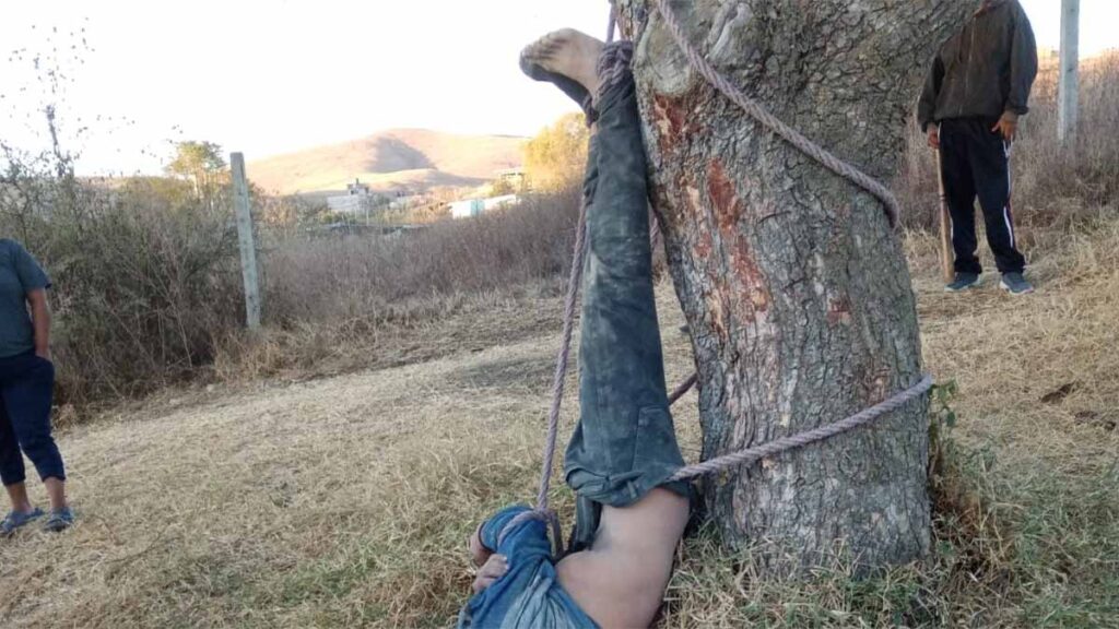 Linchan y cuelgan de un árbol a ratero, vecinos se hacen justicia por propia mano
