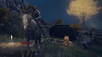 Los caballos de Elden Ring hacen que los jugadores vuelvan a discutir sobre los genitales