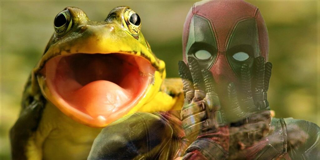 Los científicos ayudaron a una rana a volver a crecer su pierna, y los humanos podrían ser los siguientes