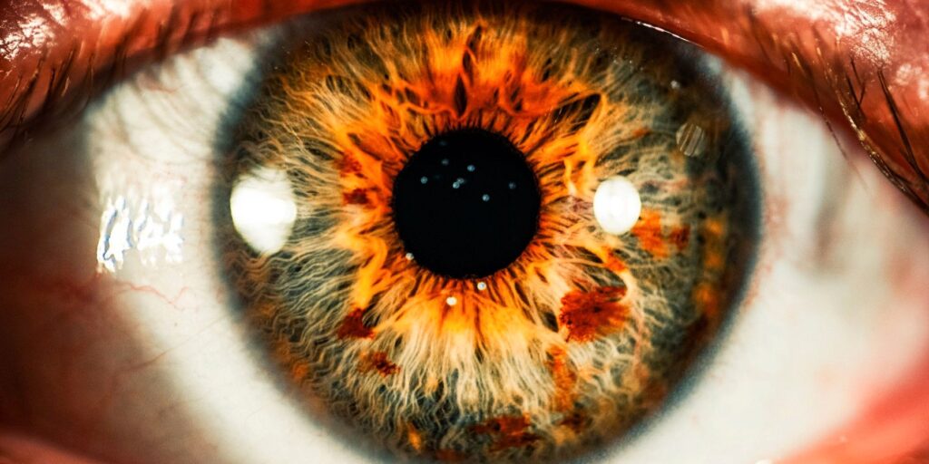 Los científicos pueden haber descubierto para qué sirve el sueño REM