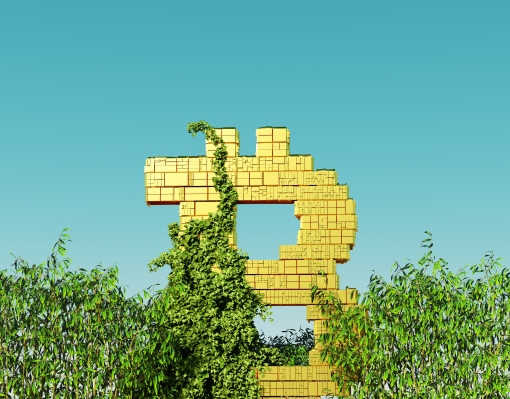 Los ricos se vuelven más ricos: repensar el poder de Bitcoin como cobertura contra la inflación