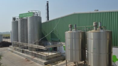 Milk Mantra de India obtiene $ 10 millones de la Corporación Financiera de Desarrollo Internacional de EE. UU.