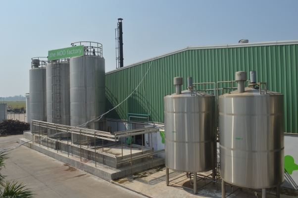 Milk Mantra de India obtiene $ 10 millones de la Corporación Financiera de Desarrollo Internacional de EE. UU.