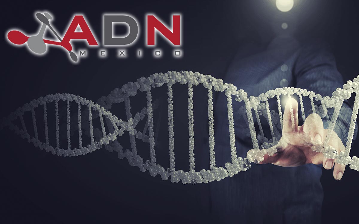 Niega ADN México los señalamientos: No se hizo nada irregular con los perfiles genéticos