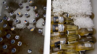 Nueva planta cervecera será construida junto al río Papaloapan