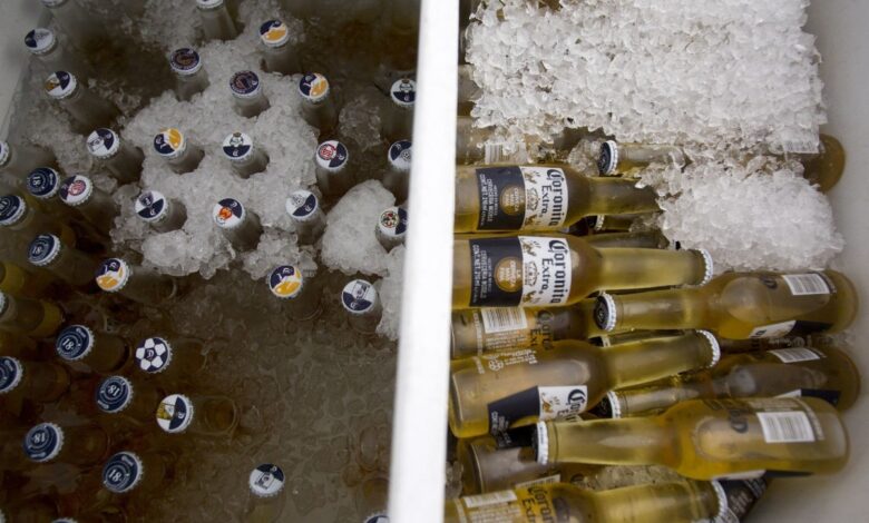 Nueva planta cervecera será construida junto al río Papaloapan
