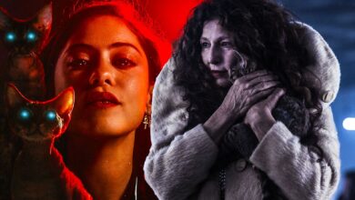 Nuevas actualizaciones de la temporada 2 de Cherry Flavor: ¿Regresará el show de Rosa Salazar?