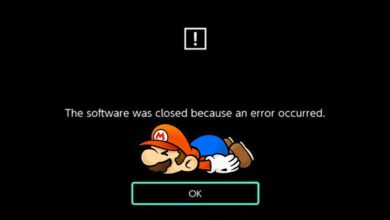 Paper Mario en Nintendo Switch tiene aún más errores de lo habitual