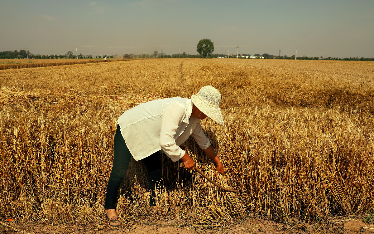Para aliviar escasez de trabajadores, EU anuncia 20 mil visados H-2B adicionales