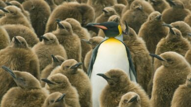 Para las startups de SaaS, la diferenciación es un proceso iterativo