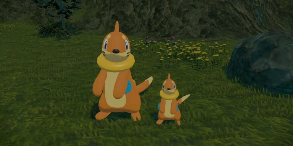 Pokemon Legends: Arceus - Cómo atrapar un gran Buizel (la forma rápida)