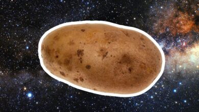 Potato Planets: cómo un planeta termina teniendo la forma de un huevo