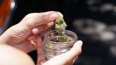 Presidente de Costa Rica veta legalización al uso medicinal de la marihuana
