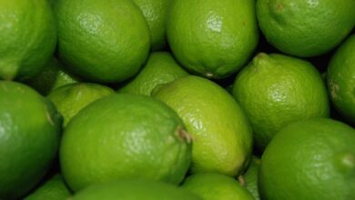 Producción del limón va en ascenso; se revisarán márgenes de ganancia: Agricultura