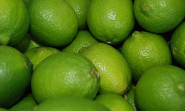 Producción del limón va en ascenso; se revisarán márgenes de ganancia: Agricultura