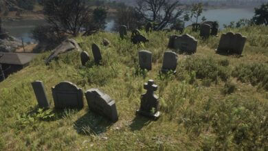 RDR2: Cemetery Creeping conduce a una conversación incómoda de NPC